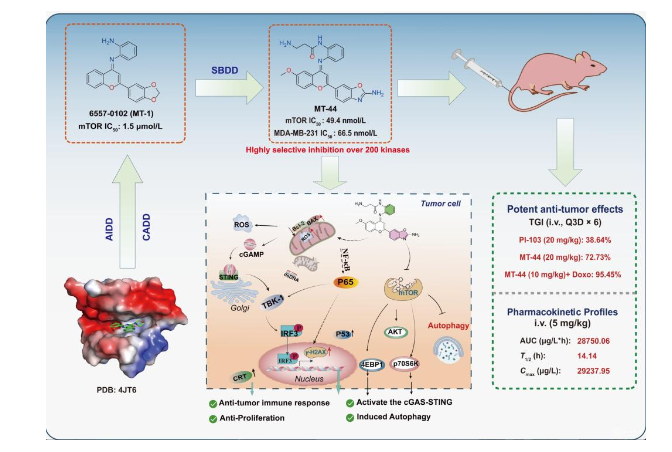 公司汤磊/张吉泉教授团队在三阴性乳腺癌靶向治疗药物研究方面取得新进展